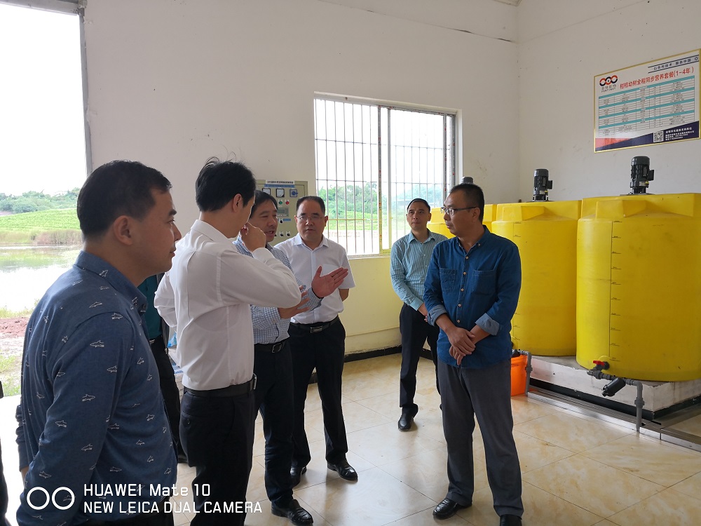 顧縣長(zhǎng)視察3.jpg