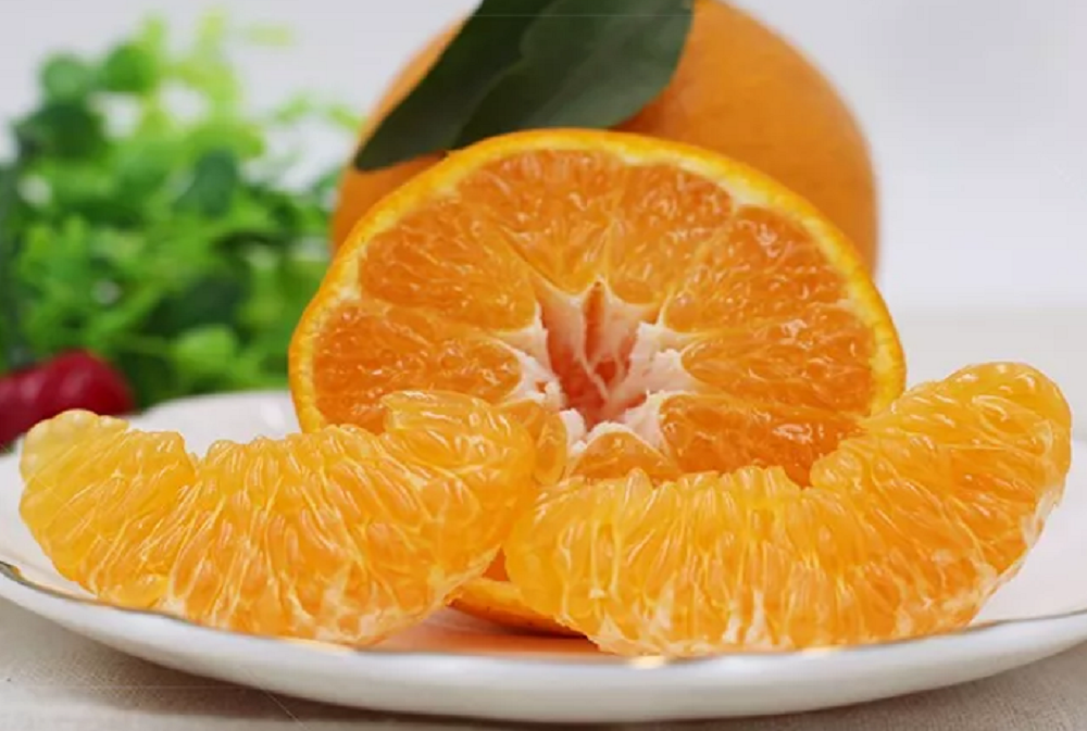 魏柑2號5.png 魏柑2號5.png